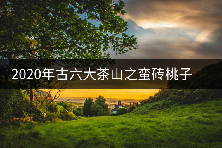 2020年古六大茶山之蠻磚桃子寨古樹茶，瓦龍古樹茶口感與特點