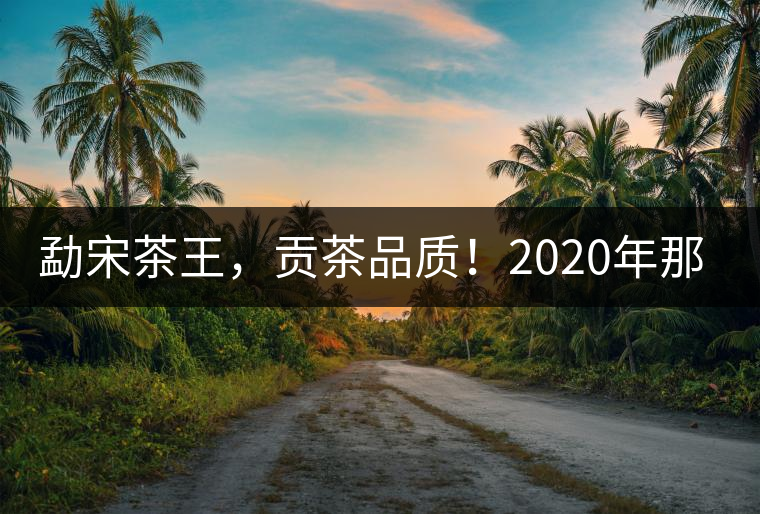 勐宋茶王，貢茶品質(zhì)！2020年那卡古樹青餅悠然而至！