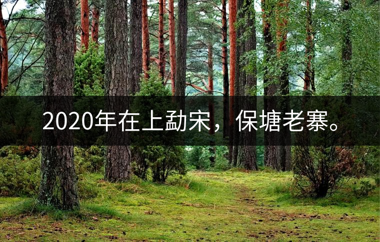 2020年在上勐宋，保塘老寨。