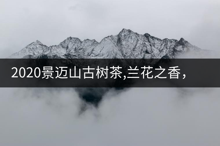 2020景邁山古樹(shù)茶,蘭花之香，自然之味