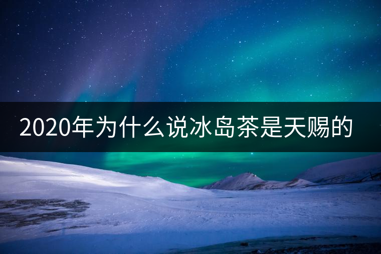 2020年為什么說冰島茶是天賜的好茶？