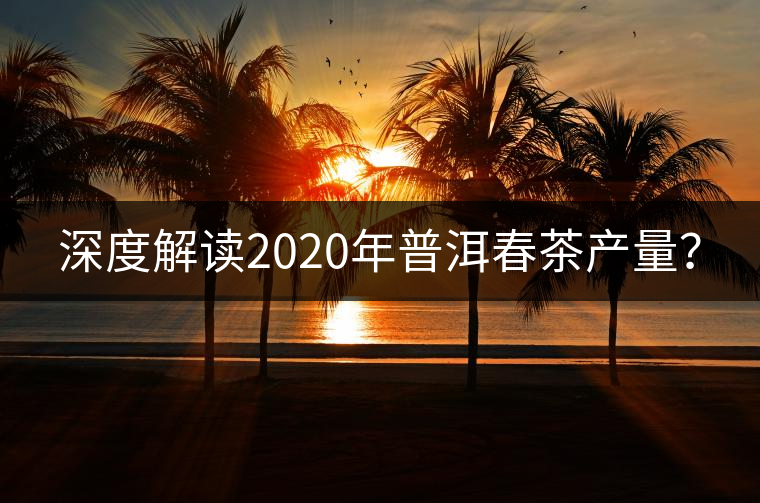 深度解讀2020年普洱春茶產(chǎn)量？