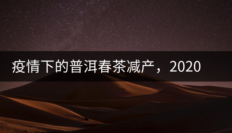 疫情下的普洱春茶減產(chǎn)，2020年價格“兩極分化”或成常態(tài)？