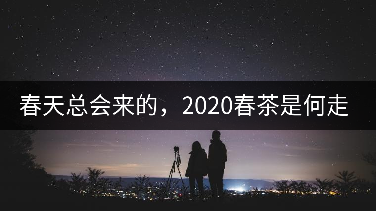 春天總會(huì)來的，2020春茶是何走勢？