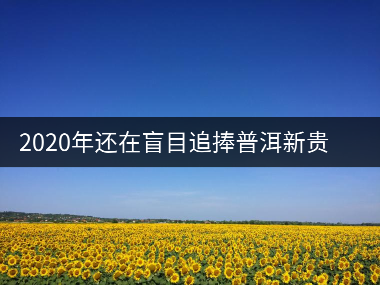 2020年還在盲目追捧普洱新貴“貓耳朵”？我們深入產(chǎn)區(qū)為你揭示最真實(shí)的“貓耳朵”！