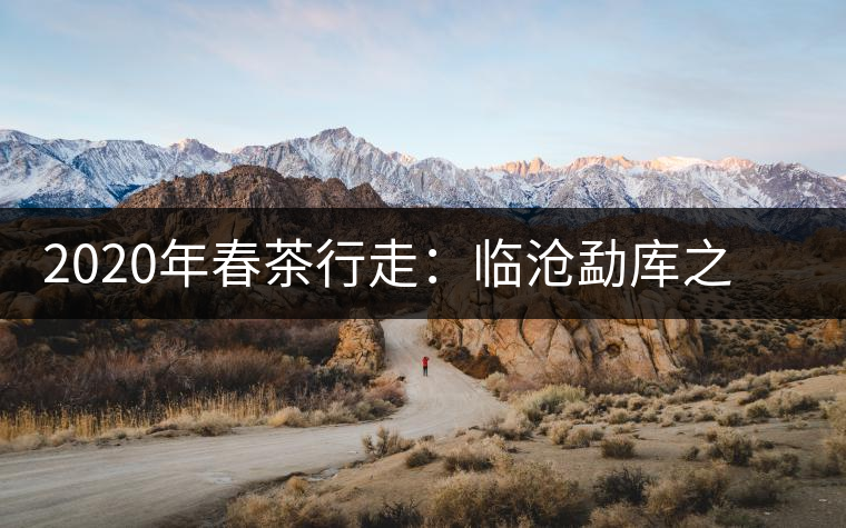 2020年春茶行走：臨滄勐庫之美，不只是冰島普洱茶香