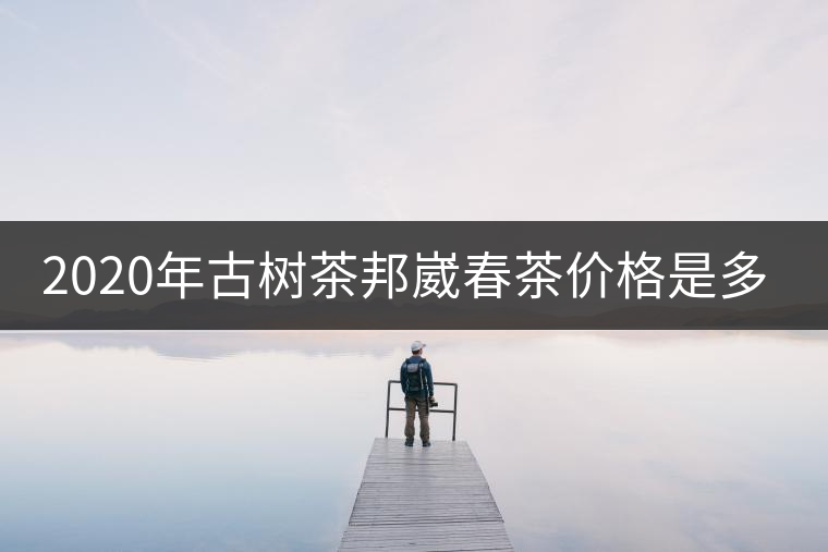 2020年古樹(shù)茶邦崴春茶價(jià)格是多少？