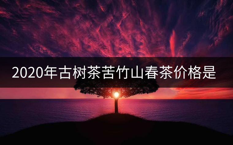 2020年古樹茶苦竹山春茶價格是多少？