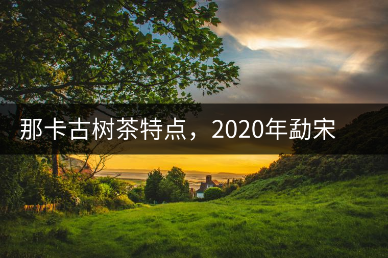 那卡古樹茶特點，2020年勐宋茶區(qū)保塘普洱茶口感