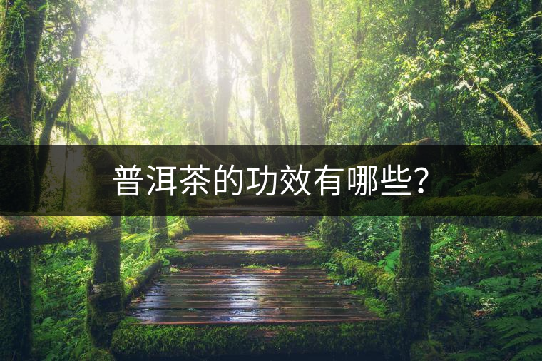 普洱茶的功效有哪些？
