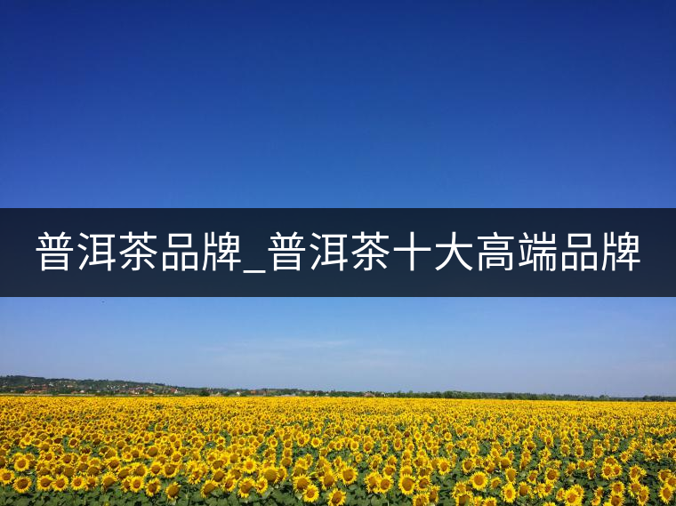 普洱茶品牌_普洱茶十大高端品牌_哪個牌子好？