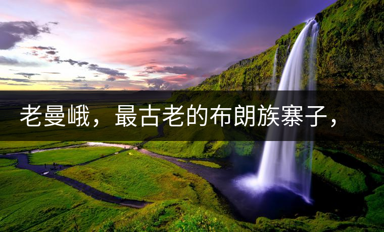 老曼峨，最古老的布朗族寨子，最極端的普洱茶