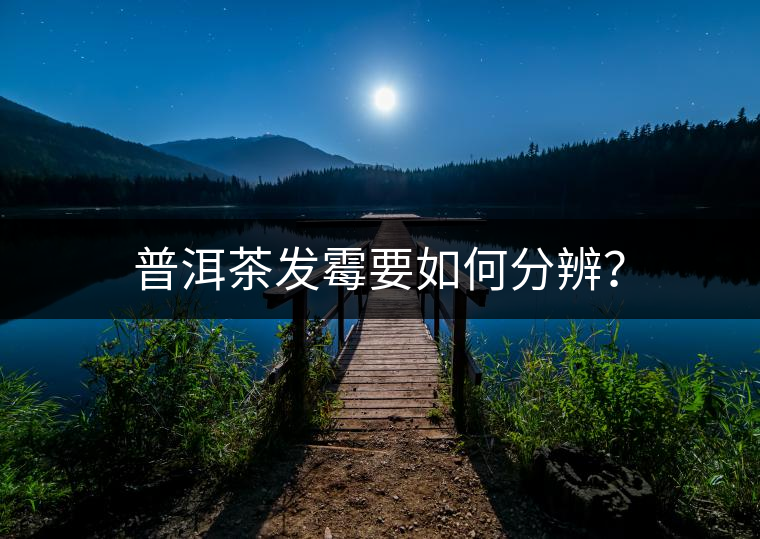 普洱茶發(fā)霉要如何分辨？