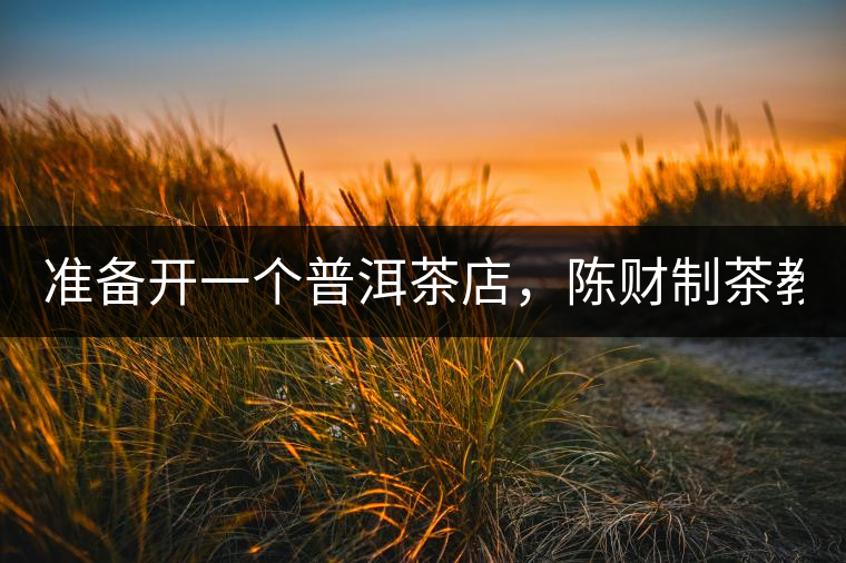 準(zhǔn)備開(kāi)一個(gè)普洱茶店，陳財(cái)制茶教你怎么做！