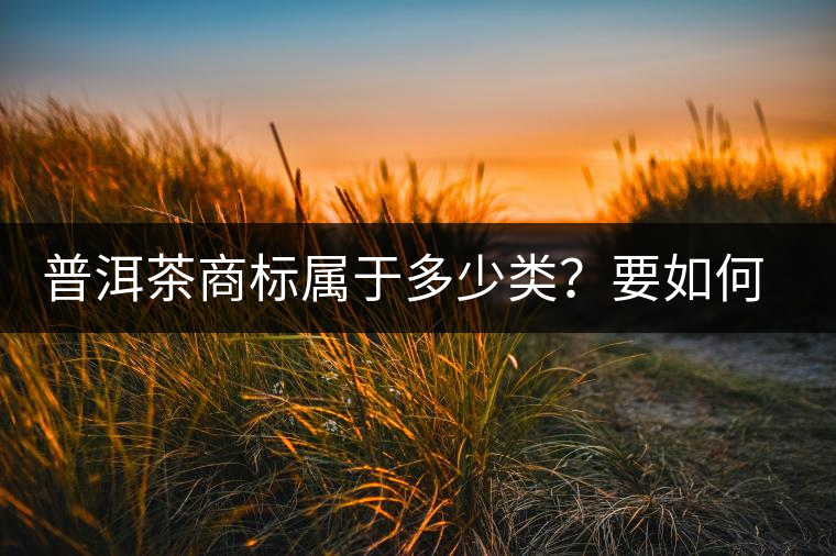 普洱茶商標(biāo)屬于多少類？要如何注冊