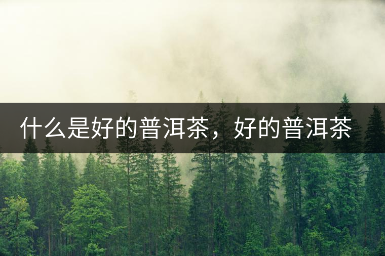 什么是好的普洱茶，好的普洱茶必須要有好的工藝！