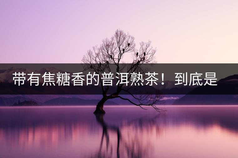 帶有焦糖香的普洱熟茶！到底是好是壞？