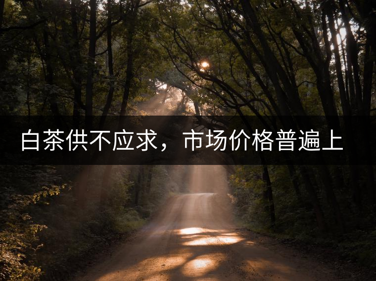 白茶供不應(yīng)求，市場價格普遍上漲？