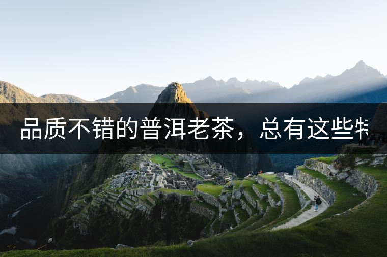 品質(zhì)不錯的普洱老茶，總有這些特點！