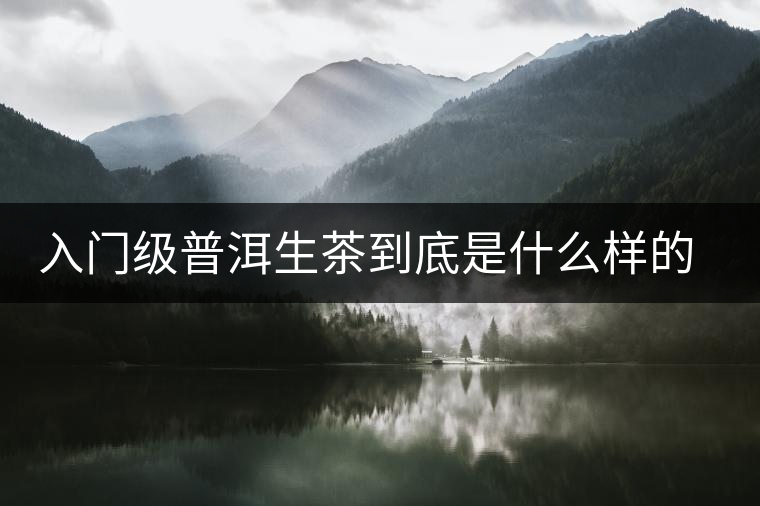 入門(mén)級(jí)普洱生茶到底是什么樣的口感？