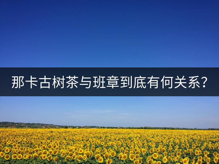 那卡古樹茶與班章到底有何關(guān)系？