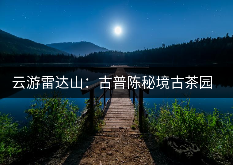 云游雷達(dá)山：古普陳秘境古茶園，品第一杯春鮮