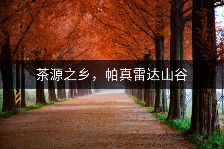 茶源之鄉(xiāng)，帕真雷達山谷