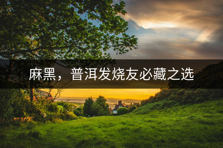 麻黑，普洱發(fā)燒友必藏之選