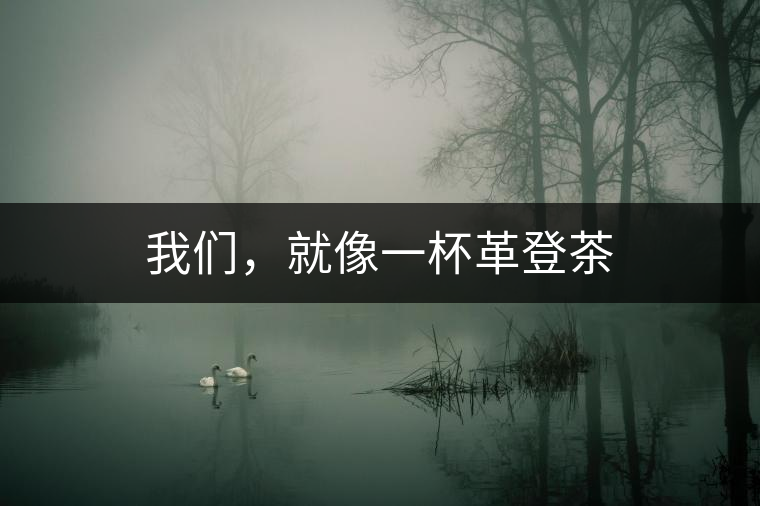 我們，就像一杯革登茶