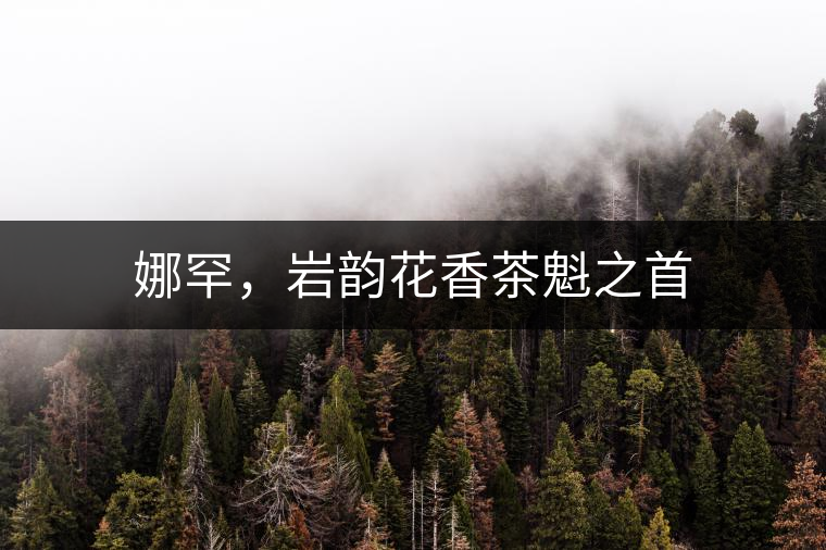 娜罕，巖韻花香茶魁之首