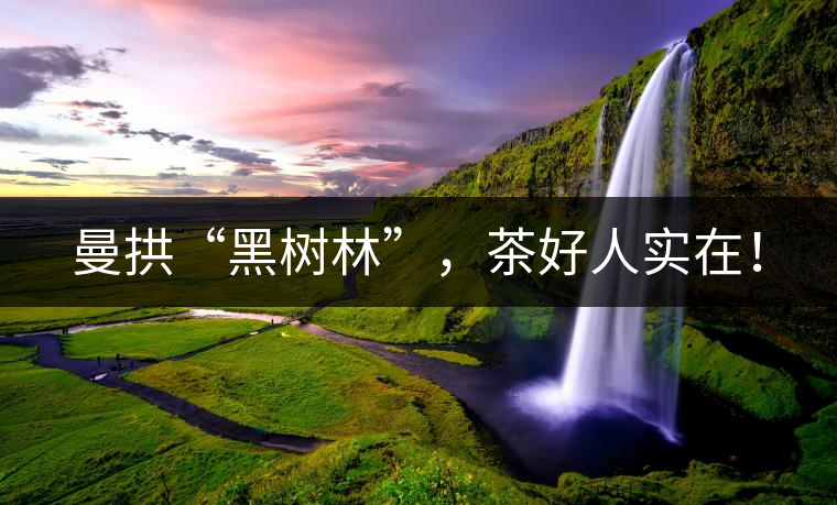 曼拱“黑樹林”，茶好人實在！