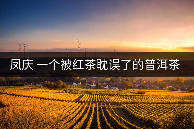 鳳慶 一個被紅茶耽誤了的普洱茶基地