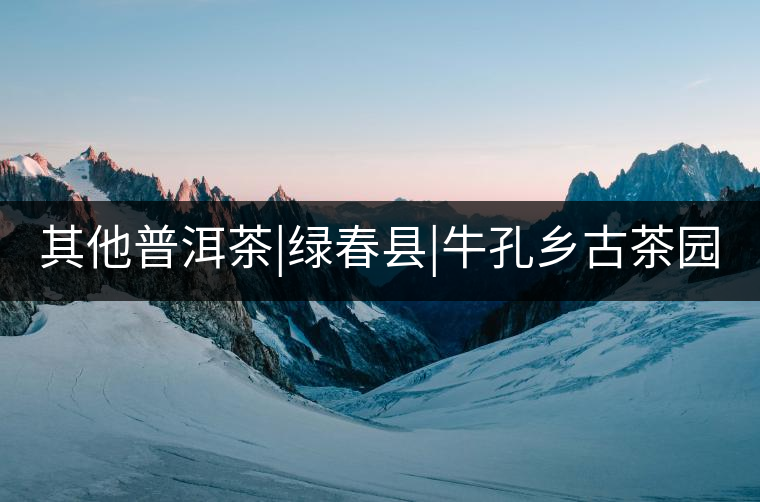 其他普洱茶|綠春縣|?？奏l(xiāng)古茶園