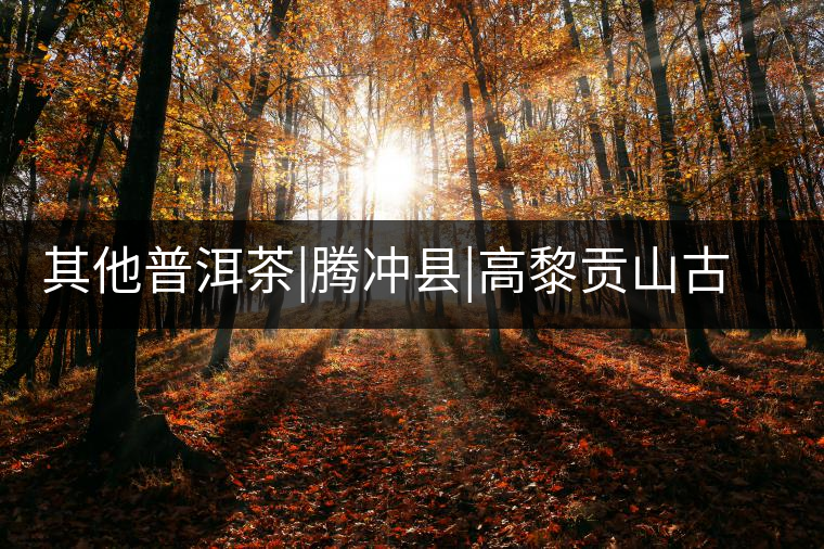 其他普洱茶|騰沖縣|高黎貢山古茶樹(shù)群