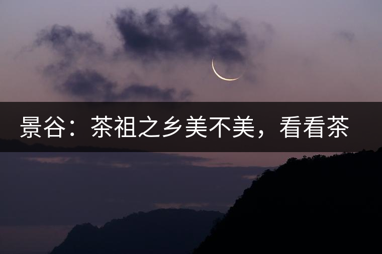 景谷：茶祖之鄉(xiāng)美不美，看看茶山和美人