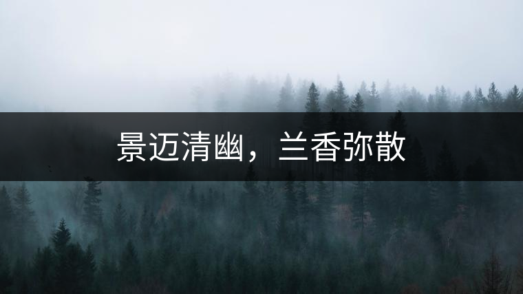 景邁清幽，蘭香彌散