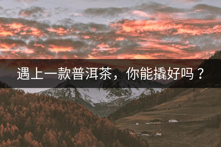 遇上一款普洱茶，你能撬好嗎 ？