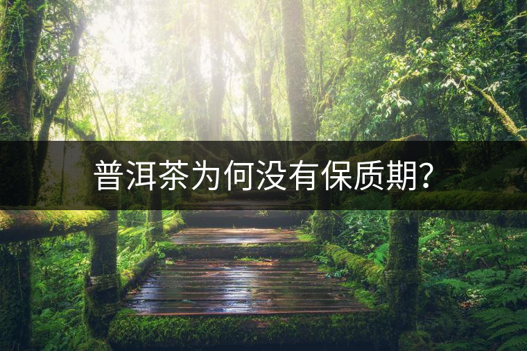 普洱茶為何沒有保質(zhì)期？