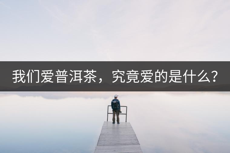 我們愛普洱茶，究竟愛的是什么？