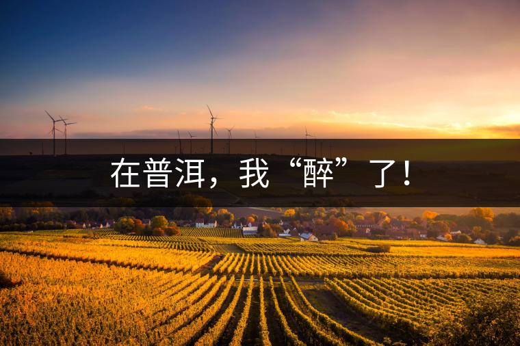 在普洱，我“醉”了！