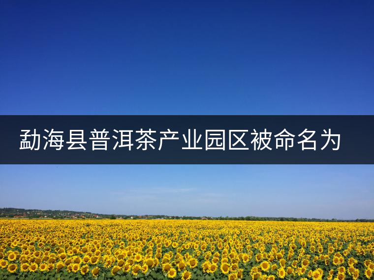 勐?？h普洱茶產(chǎn)業(yè)園區(qū)被命名為 