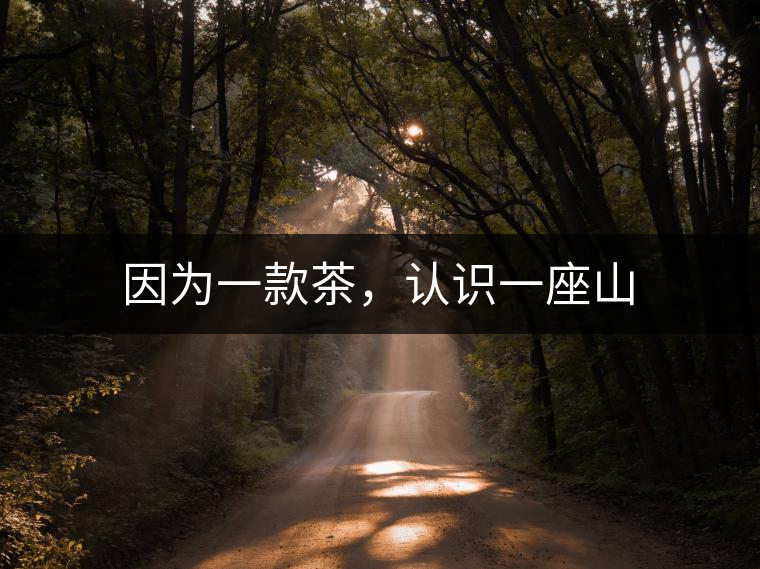 因為一款茶，認識一座山