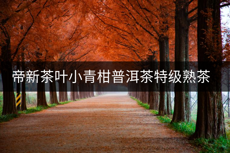 帝新茶葉小青柑普洱茶特級(jí)熟茶生曬正宗新會(huì)陳皮柑普茶桔普茶罐裝 帝新茶葉小青柑普洱茶特級(jí)熟茶生曬正宗新會(huì)陳皮柑普茶桔普茶罐裝