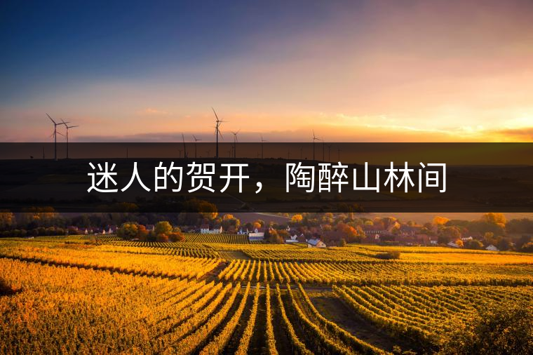 迷人的賀開(kāi)，陶醉山林間