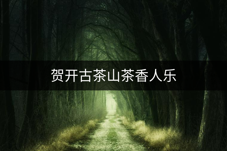 賀開古茶山茶香人樂