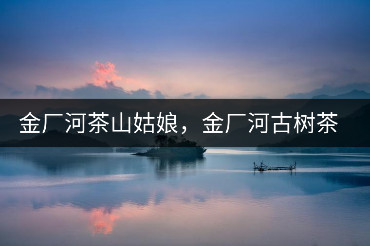 金廠河茶山姑娘，金廠河古樹(shù)茶特點(diǎn)與價(jià)格