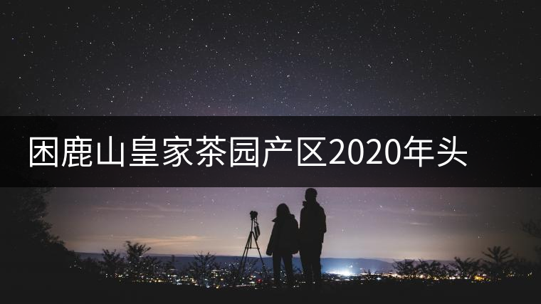困鹿山皇家茶園產(chǎn)區(qū)2020年頭春古樹，白花林口感特點