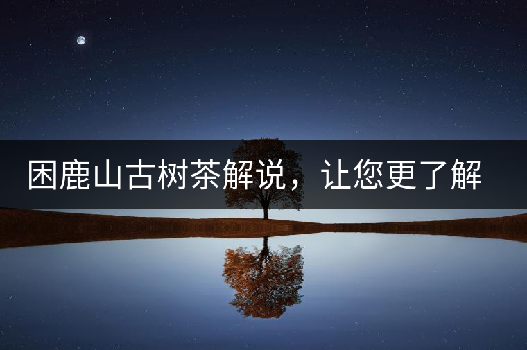 困鹿山古樹茶解說，讓您更了解古樹貢茶