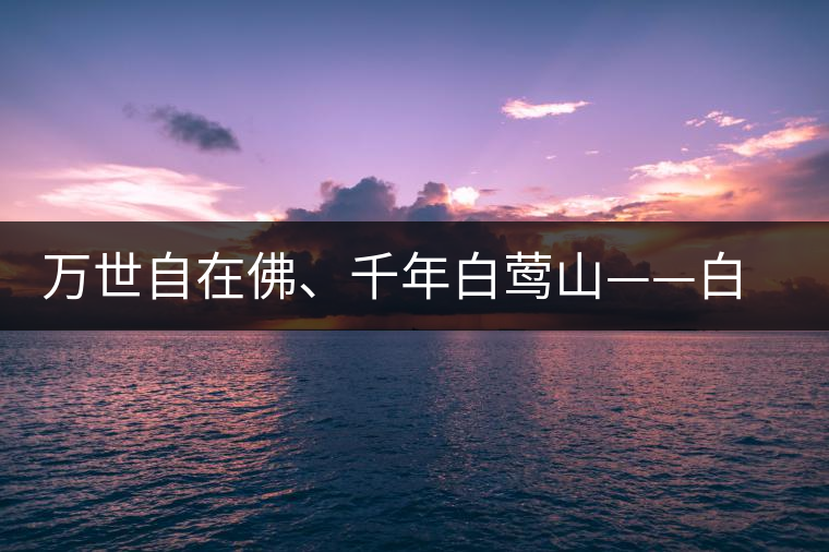 萬世自在佛、千年白鶯山——白鶯山古樹茶特點