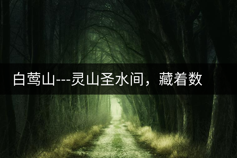 白鶯山---靈山圣水間，藏著數(shù)不盡的佛茶佳話